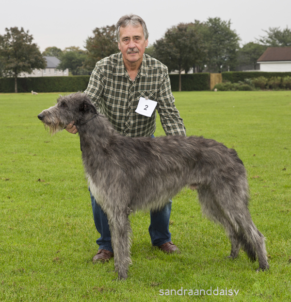 Postgraduate Dog 1st & Reserve Best Dog